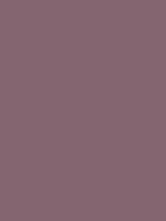 #846570 color image