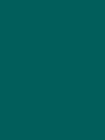 #015e5b color image