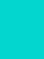 #03d6cf color image