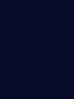 #070c2a color image