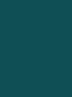 #0f4f55 color image