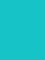 #16c3c7 color image