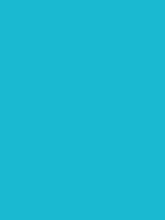 #1ab9d1 color image