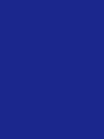 #1b278d color image