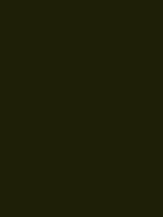 #1e1f07 color image