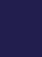 #221e4e color image