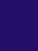 #240d6b color image