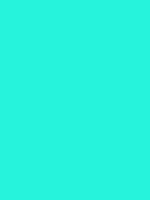 #26f3dc color image