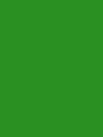 #2a9022 color image