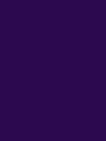 #2c094f color image