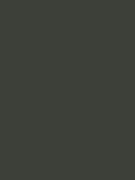 #3d4039 color image