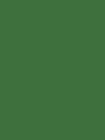 #3d703d color image