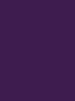#3e1c4e color image