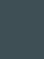 #3e4f55 color image