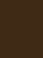 #3f2a15 color image