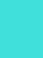 #40e0db color image