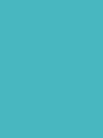 #48b7c0 color image