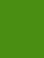 #4a8e12 color image