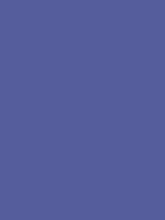 #555d9c color image