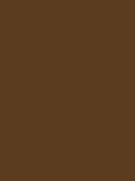 #5d3d1f color image
