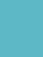 #5db8c6 color image