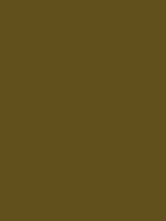 #61501b color image