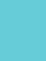 #63cad6 color image