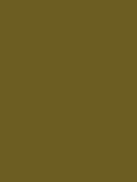 #6b5e23 color image