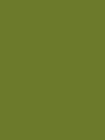 #6c7a2b color image