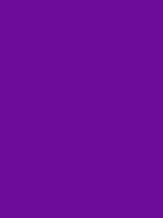 #6d0b9a color image