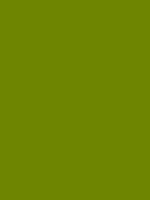 #6d8501 color image