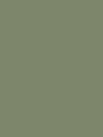 #7d866b color image