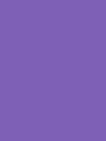 #7e61b7 color image