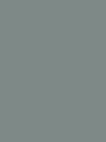 #7e8987 color image