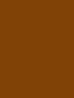 #804206 color image