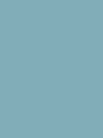 #81adb8 color image