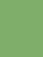 #81ae6c color image