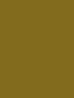 #836b1d color image