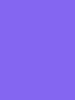 #8466f1 color image