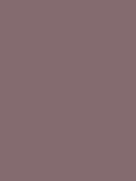 #846b6f color image