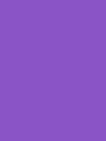 #8b54c5 color image