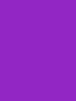 #9226c4 color image