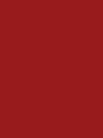 #981b1c color image