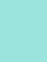 #9be3dd color image