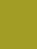 #a29d25 color image