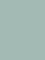 #a3b9b3 color image