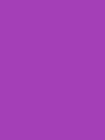 #a53fb8 color image
