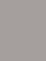 #a59f9d color image