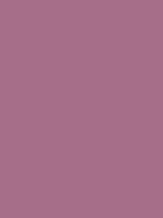 #a76e8a color image