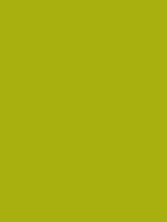 #a7b00f color image
